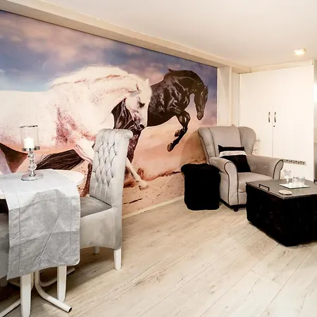 French House Pensión Belgrado