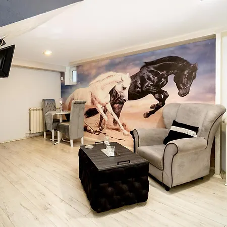 게스트하우스 French House