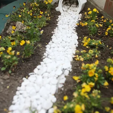 French House Belgrado