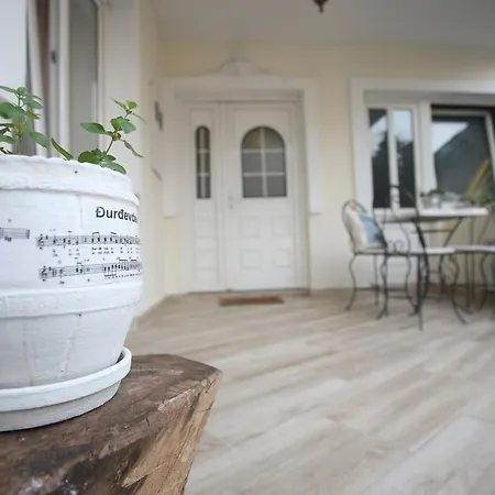 招待所 French House 贝尔格莱德