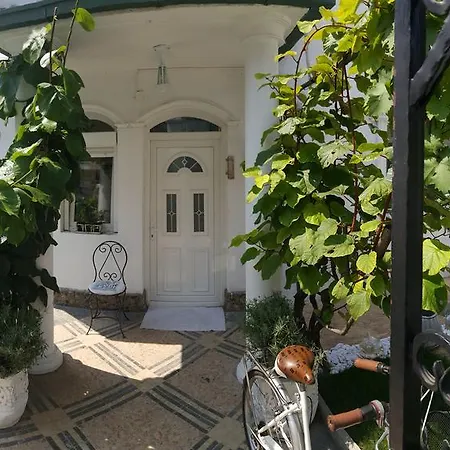 Affittacamere French House Belgrado
